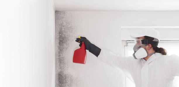 Best Mold Testing  in Archer Lodge, NC